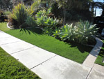 Artificial Grass
