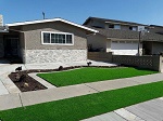 Artificial Grass