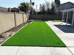 Artificial Grass