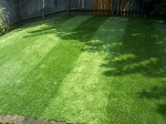 Artificial Grass