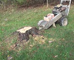 stump removal